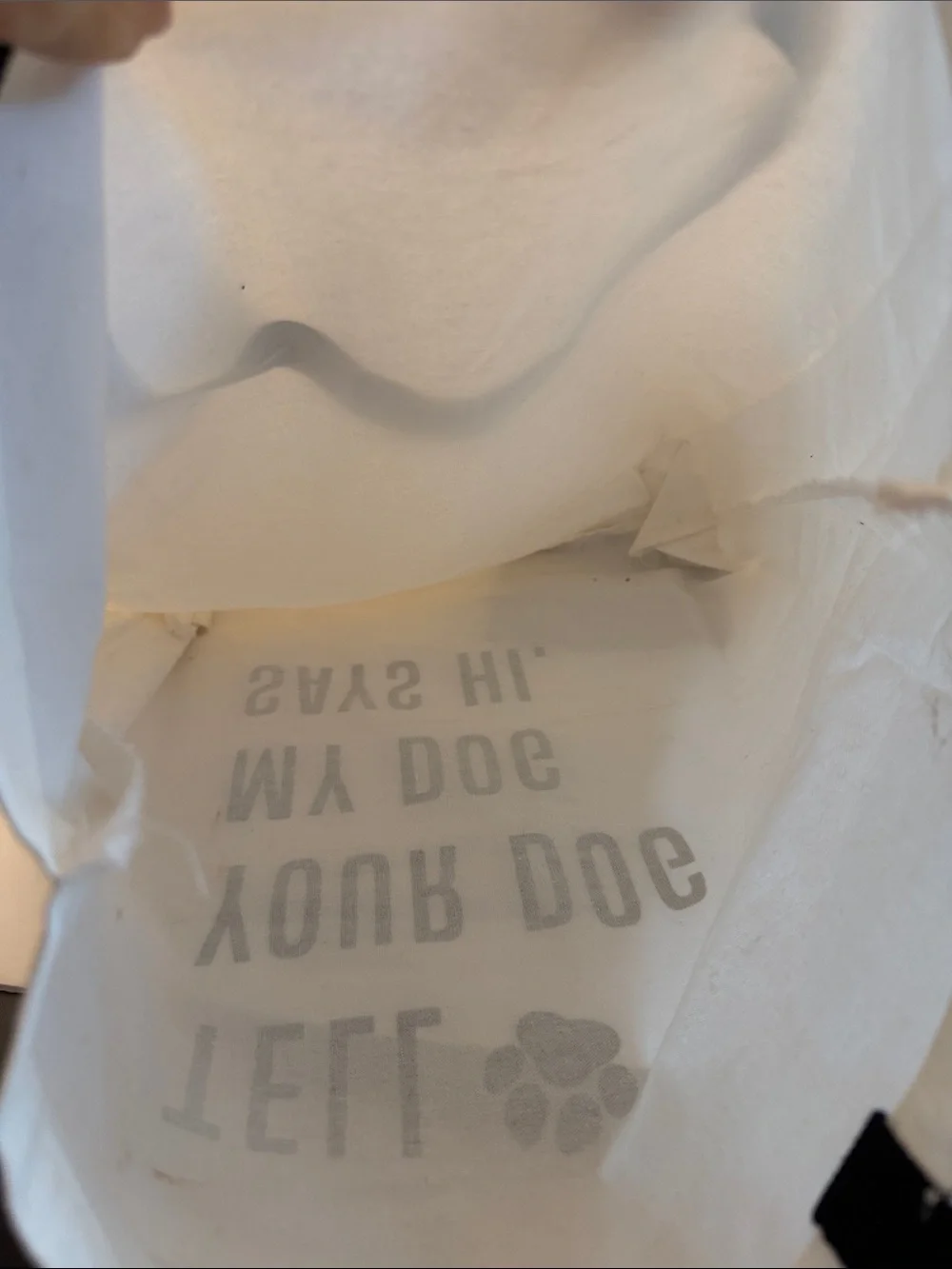 Canvas Pet Tote Bag NWOT